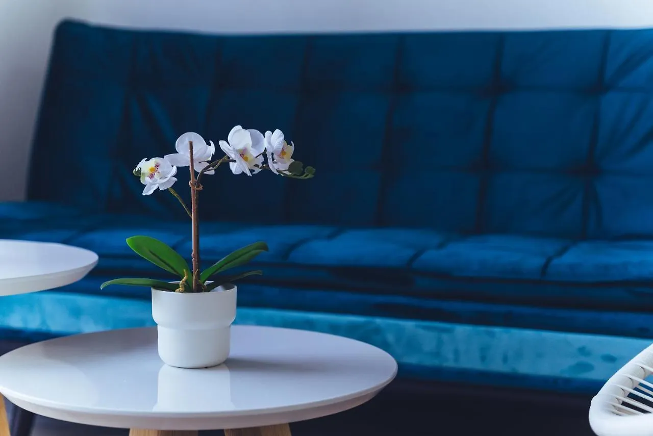 Apartamento Alisios Beach Puerto Del Carmen Puerto del Carmen  0*, Puerto del Carmen (Lanzarote) Spagna